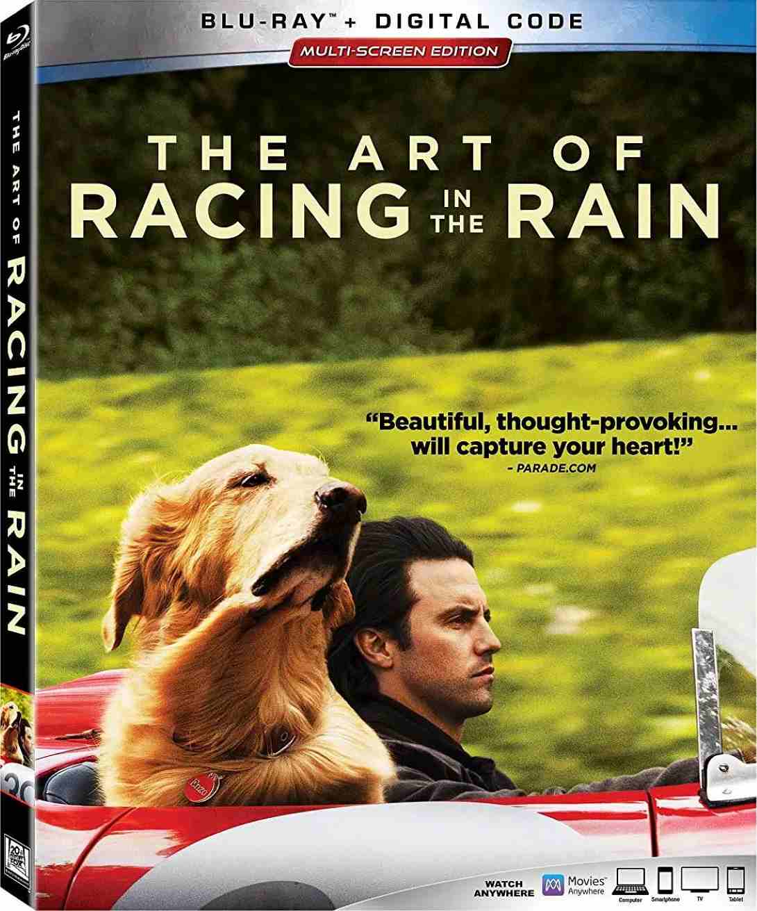我在雨中等你