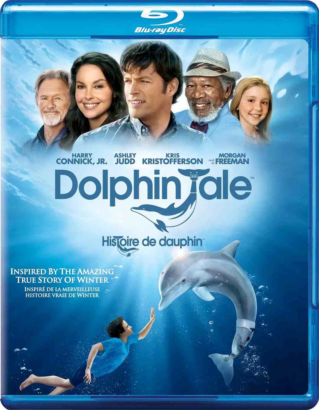 海豚的故事