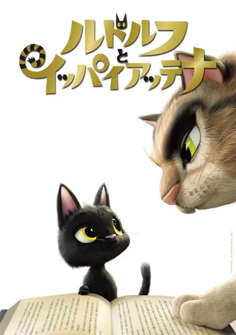黑猫鲁道夫