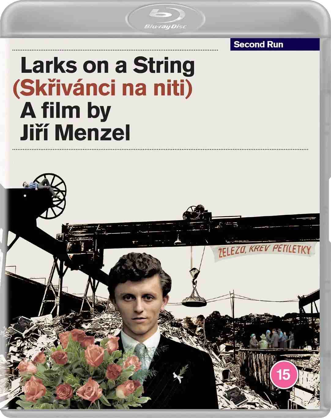 失翼灵雀