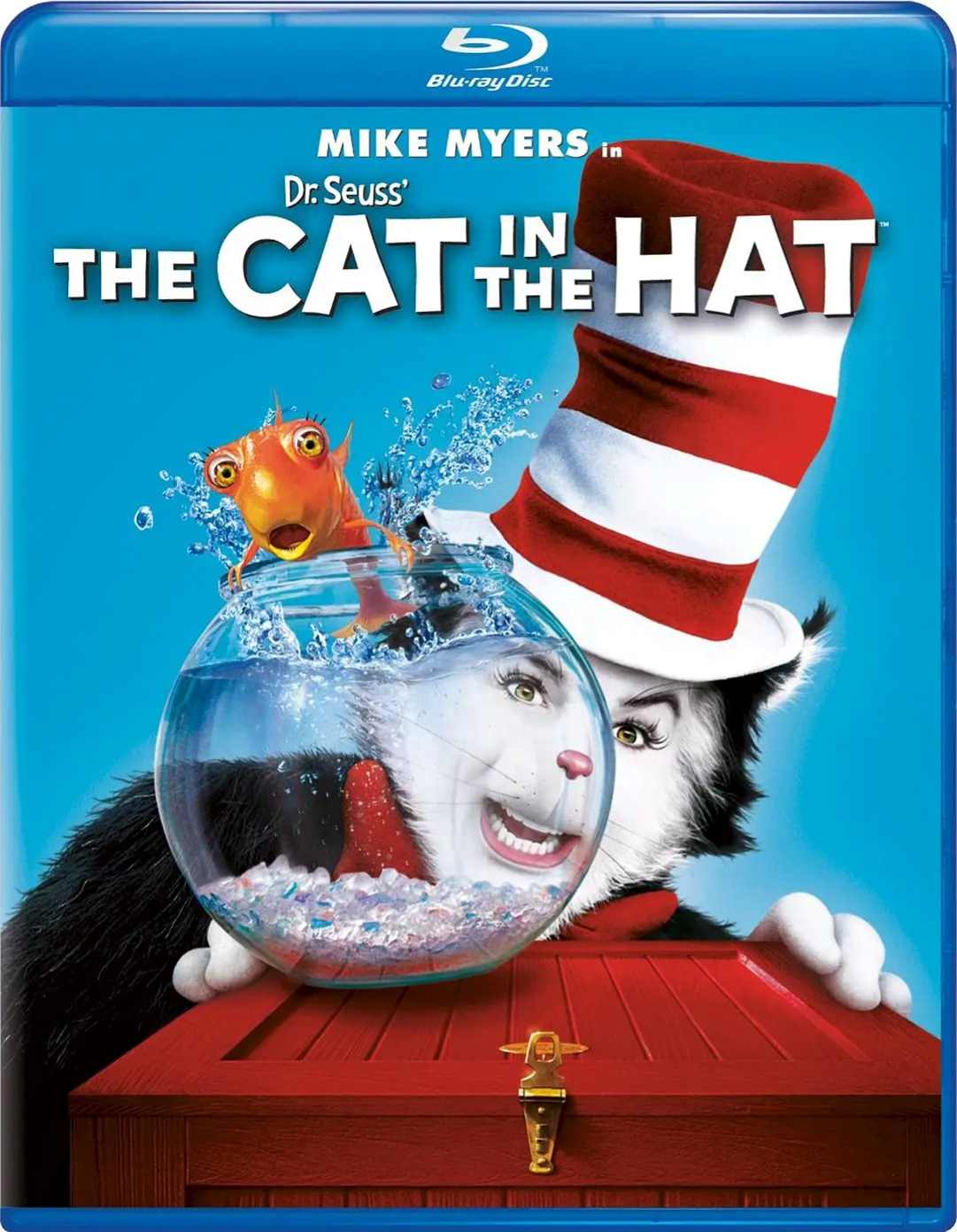 戴帽子的猫