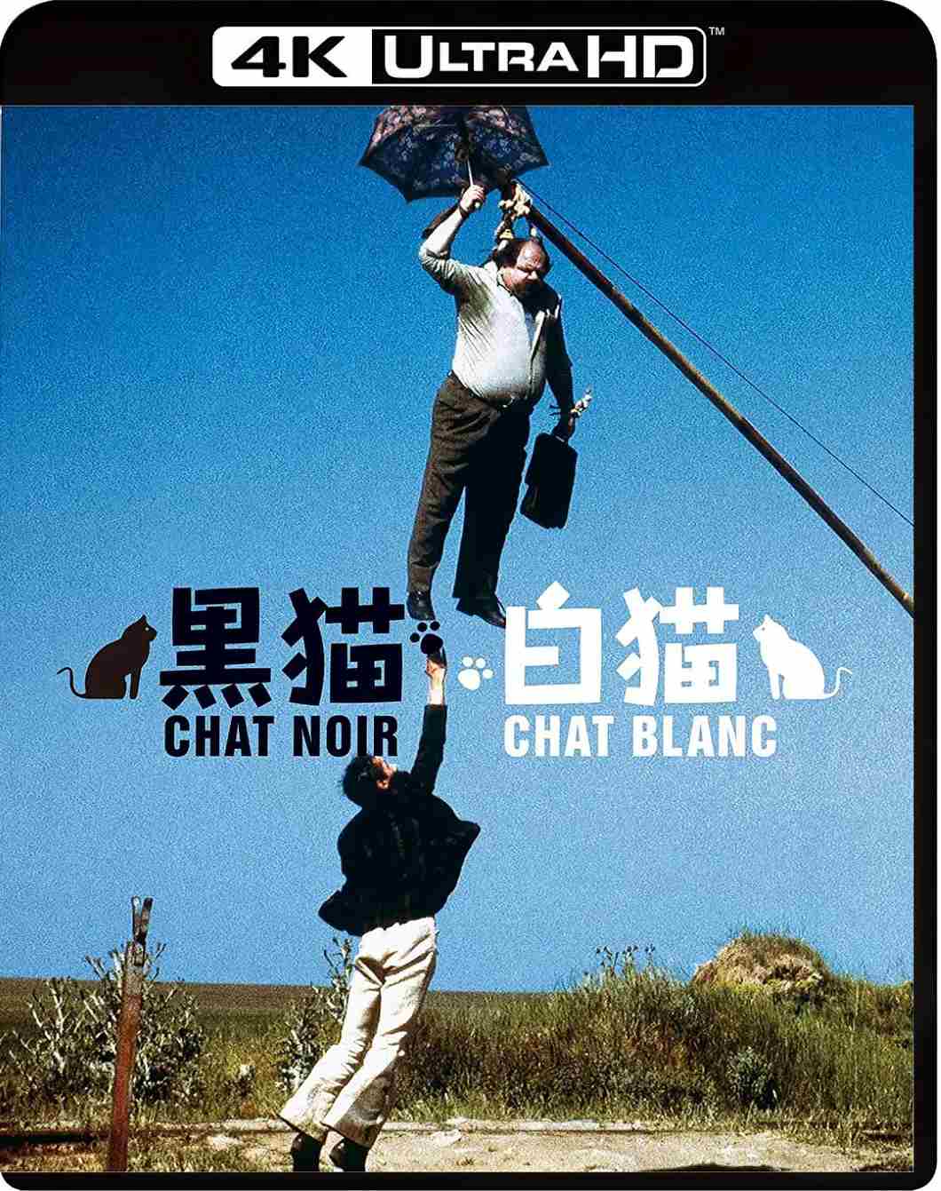 黑猫白猫