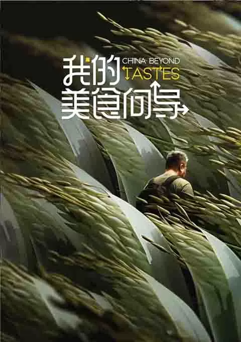我的美食向导