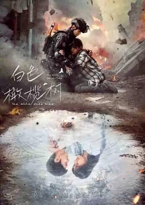 白色橄榄树