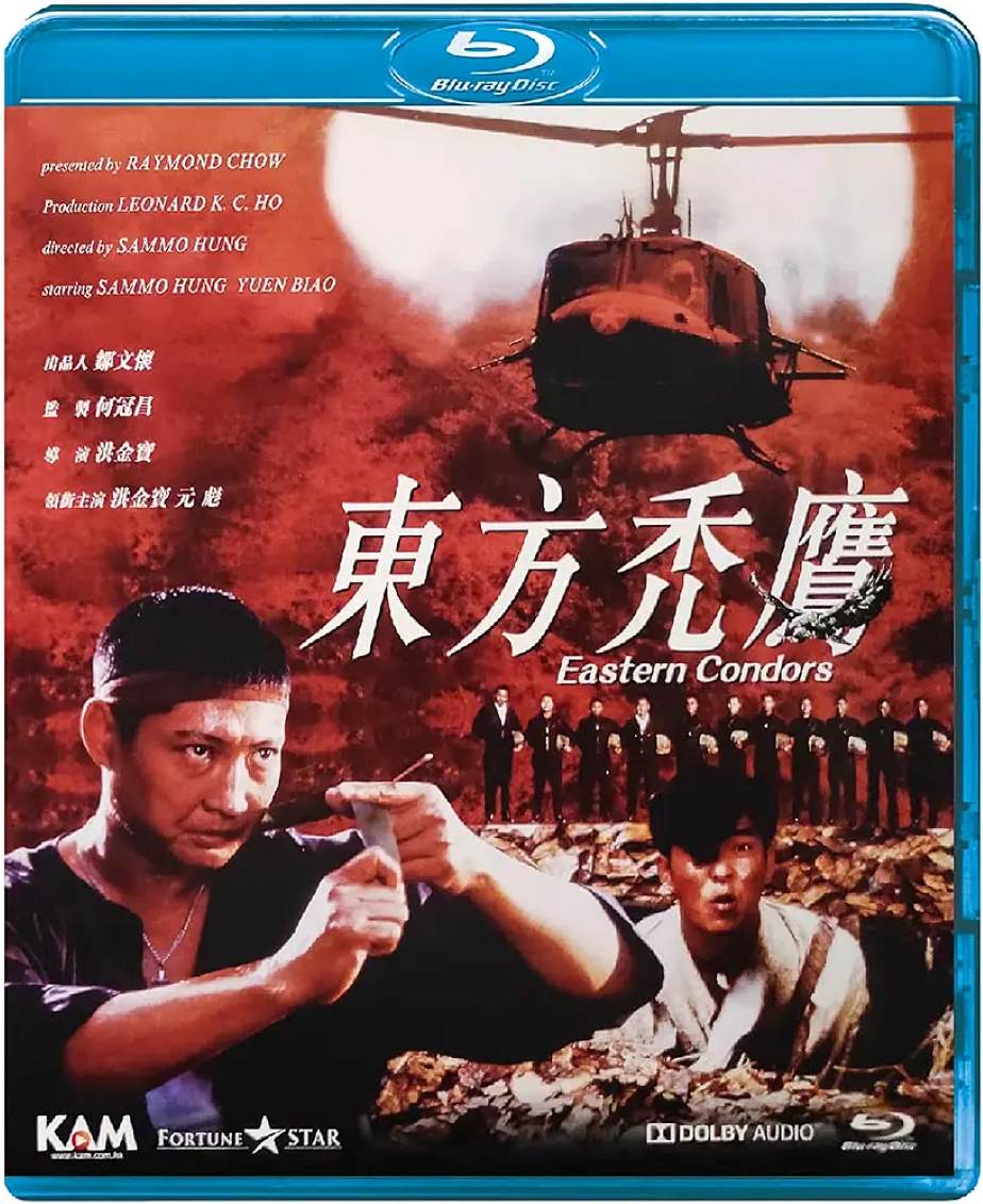 东方秃鹰